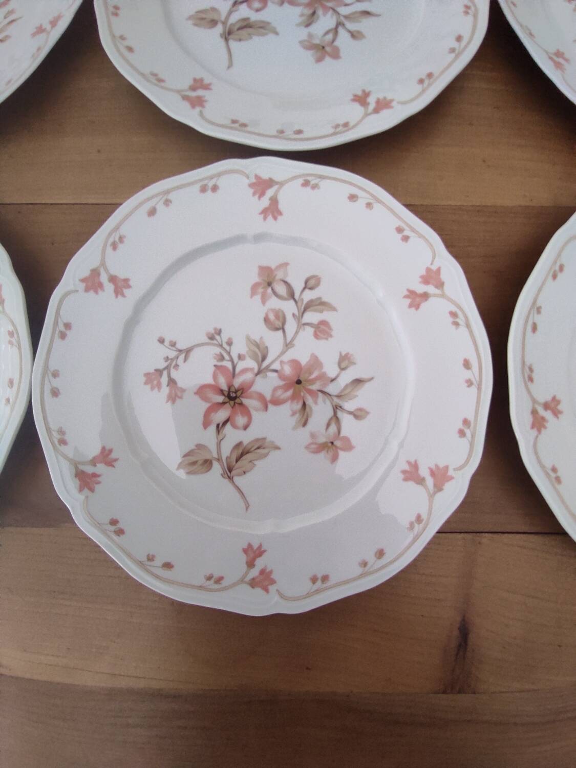 Set of 6 Limoges porcelain dinner plates by Deshoulières