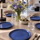 6 speckled midnight blue stoneware dinner plates