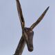 four vintage brass gazelle antelope sculptures