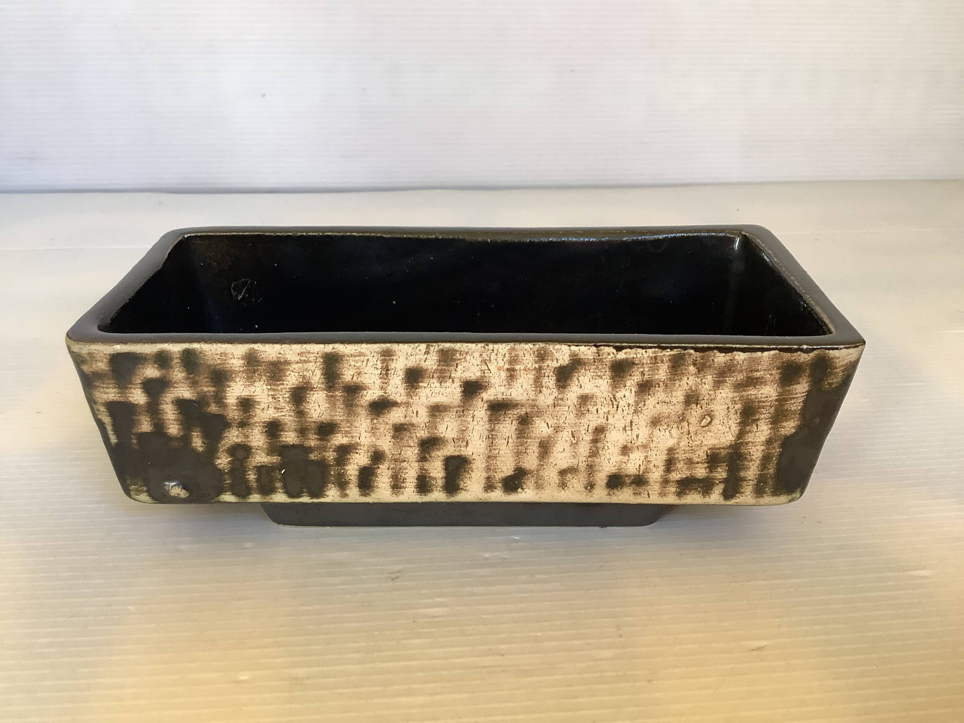 Small cactus planter Aldi Reuver Holland