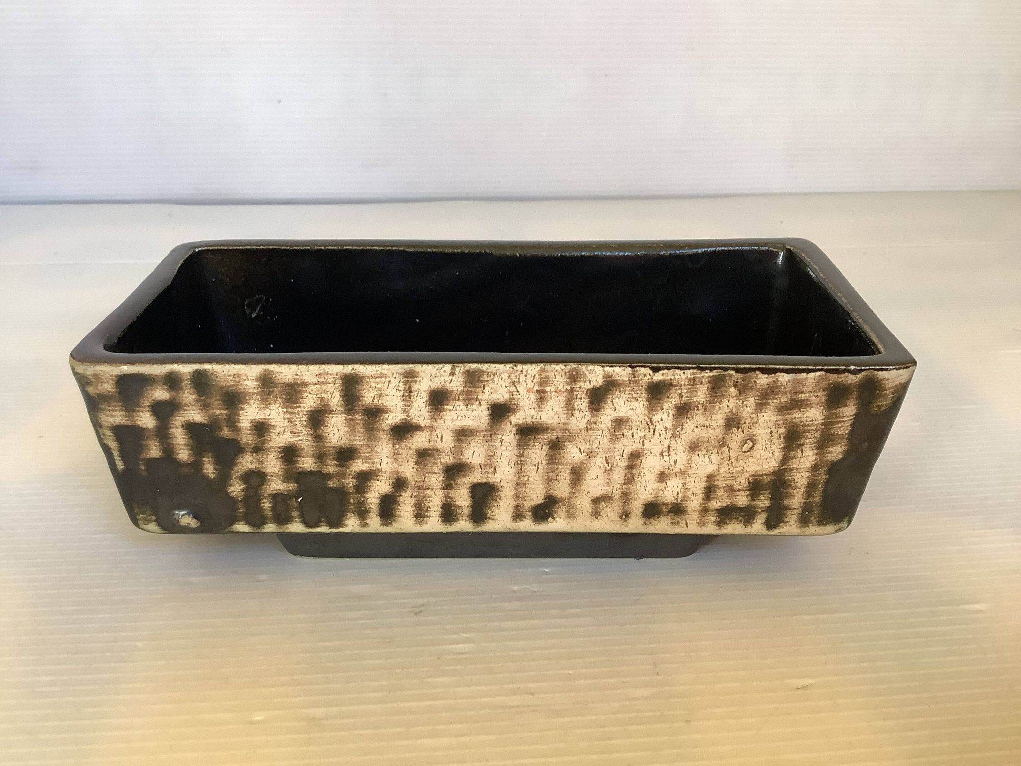 Small cactus planter Aldi Reuver Holland