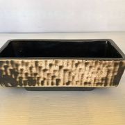 Small cactus planter Aldi Reuver Holland