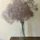 Transparent glass vase
