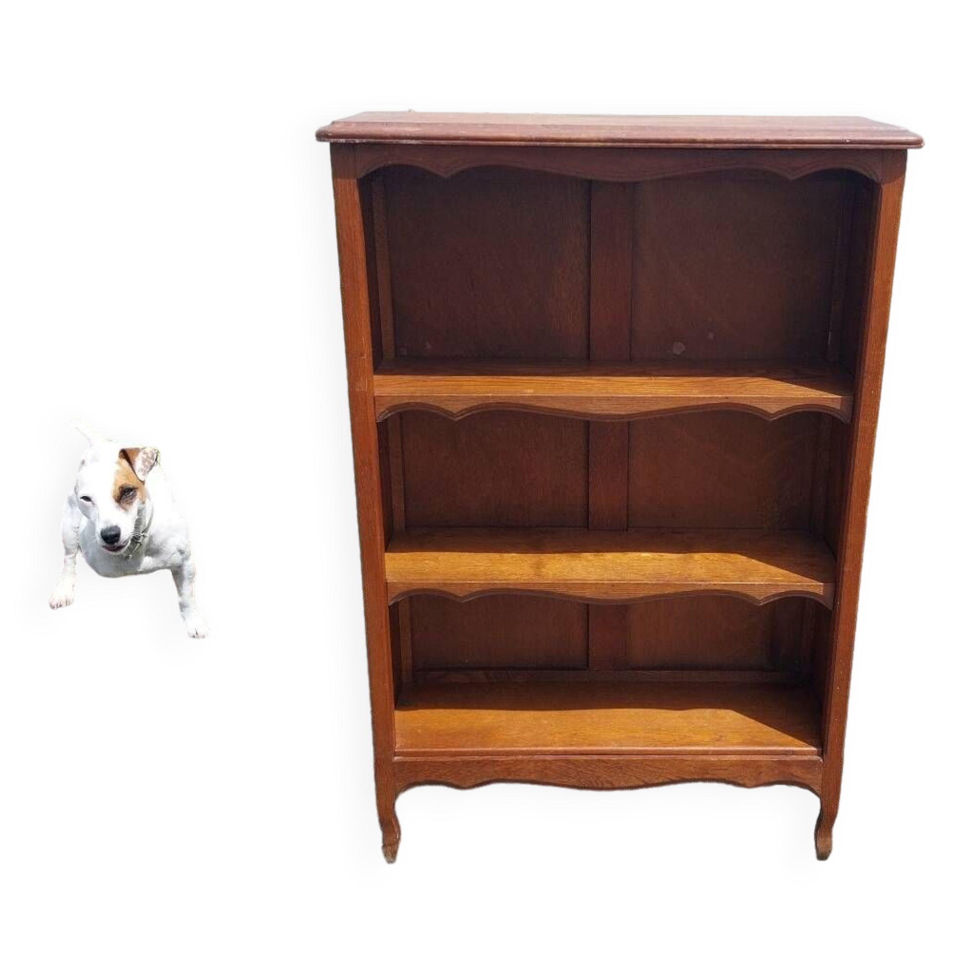 Bibus oak bookcase