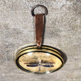 Curiosity cabinet medallion