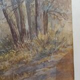 WATERCOLOR 1907 by Albert GYSEL River LA BOURRE towards MOTTE AU BOIS North