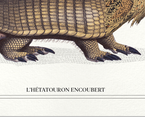 Set of 2 framed chimera lithography animal engraving