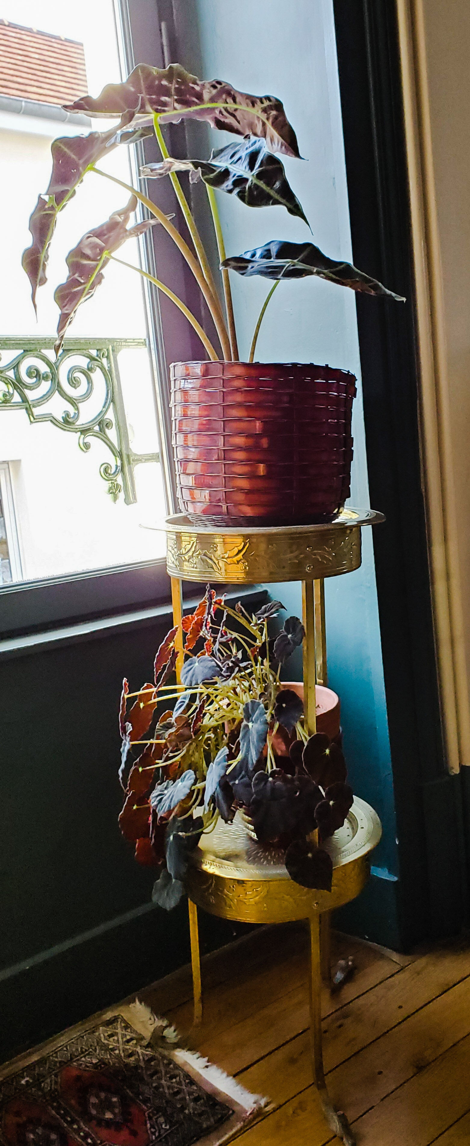 Brass plant door saddle