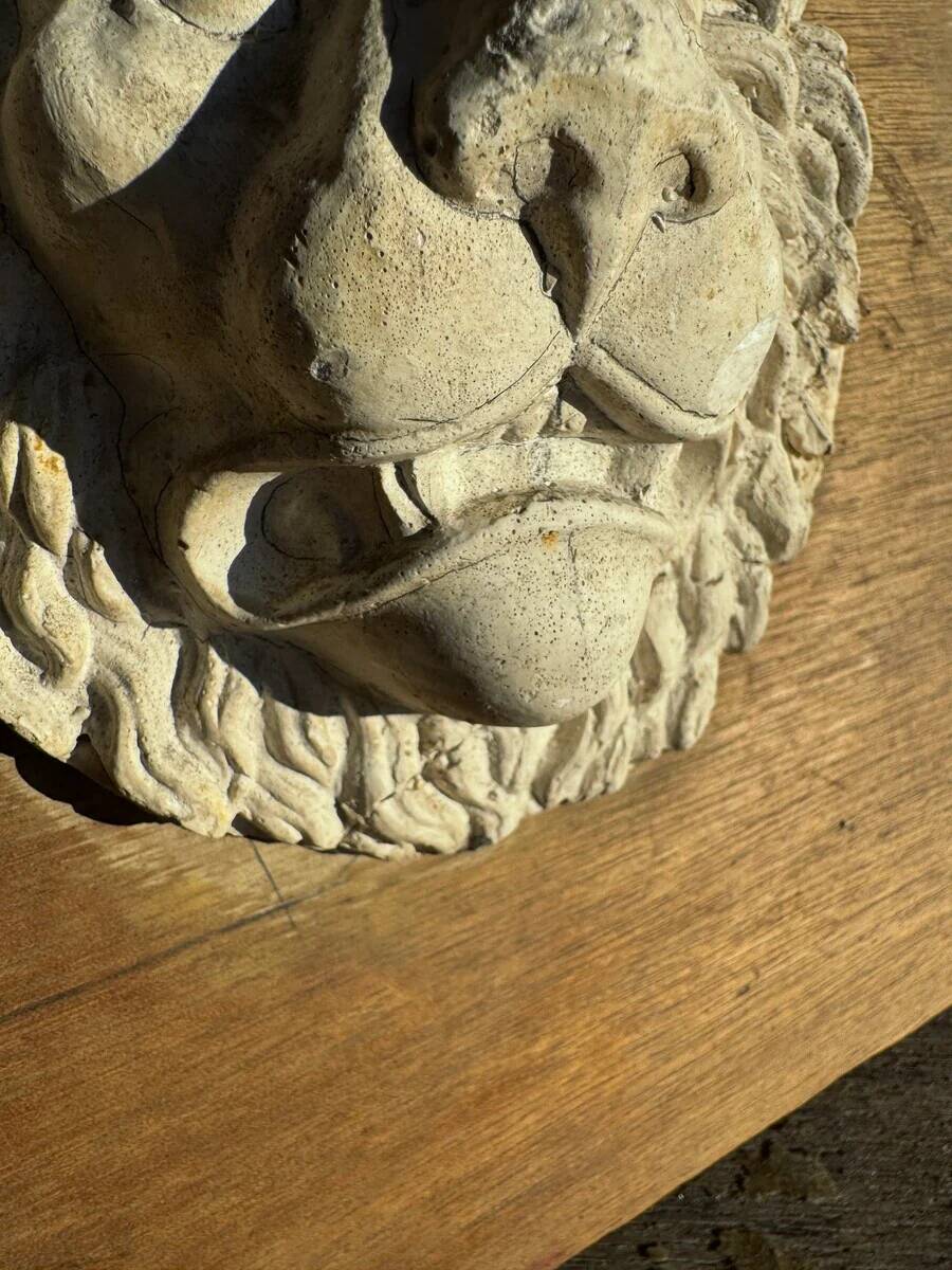 Off-white plaster lion head relief on natural wood panel — Walter De Buck, classical decorative sculpture