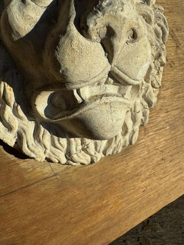 Tête de lion en plâtre blanc cassé sur panneau de bois naturel — Walter De Buck, sculpture décorative classique