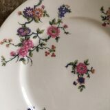 Red and green old flat plates