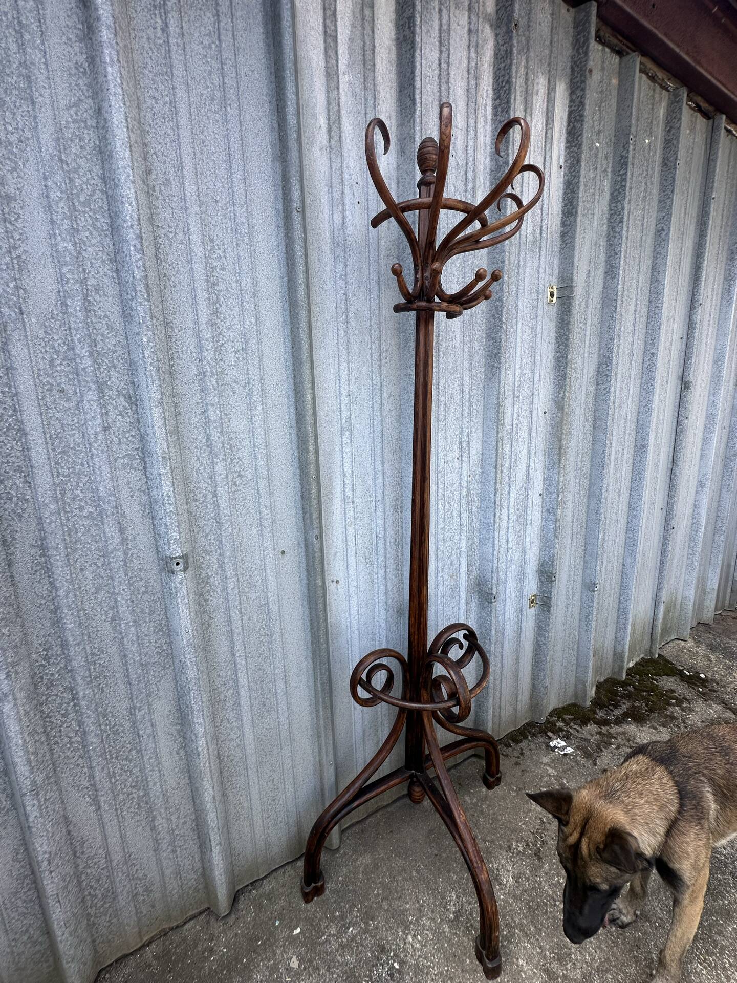 Porte manteau porte parapluie Bois Courbé