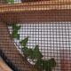 Bright sieve shelf