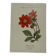 Planche botanique, gravure naturaliste, 19ème