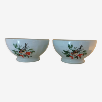 Set of two bowls decoration birds