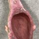 1950s Tutsi plaster mask signed Gorza (C)
