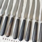 10 Vintage knives in wood and steel LA ROSE, silver medal, France