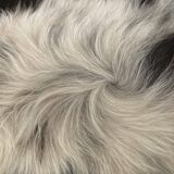 Authentic cowhide traditional tannery