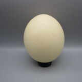 Ostrich egg on pedestal