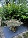 Large bronze fruit bowl from the Art Nouveau Jugendstil period.