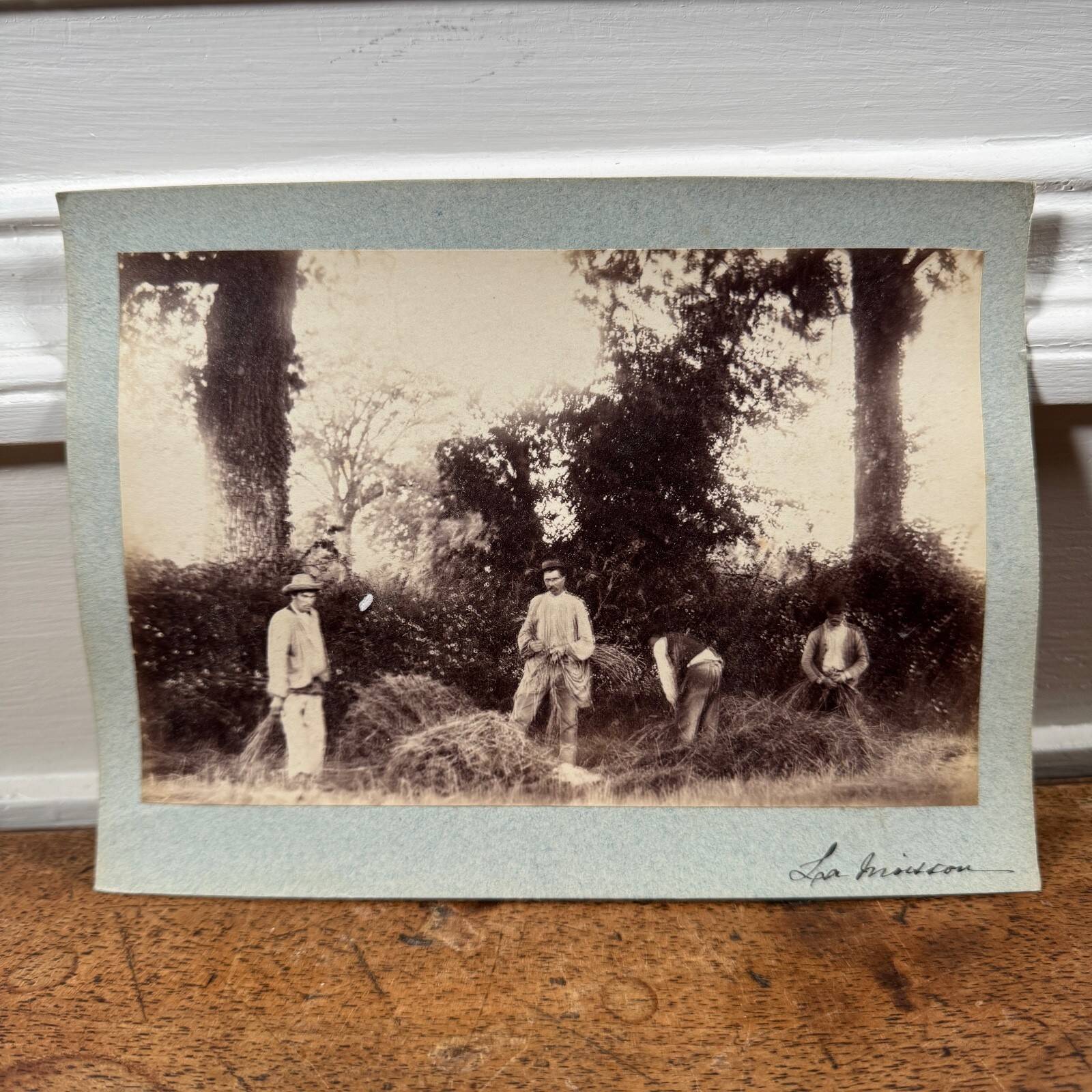 Photo albumine contrecollée sur carton représentant des moissonneurs