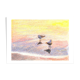 Brunswick Seagulls - A4 - Marine Illustration - Sea - Bird - Sea Birds