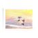 Brunswick Seagulls - A4 - Marine Illustration - Sea - Bird - Sea Birds