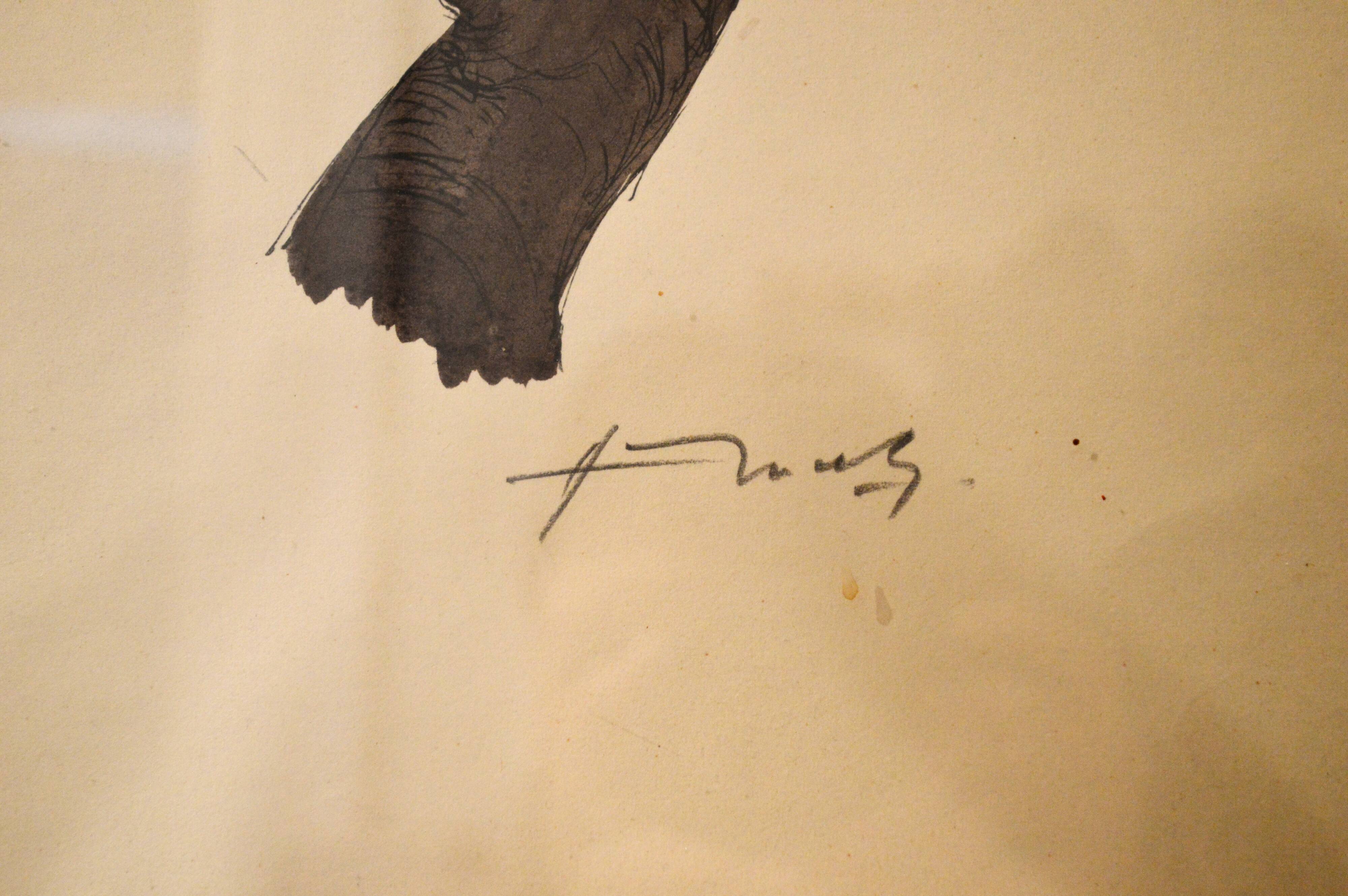 Toucan - 19th century watercolour original drawing