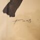 Toucan - 19th century watercolour original drawing