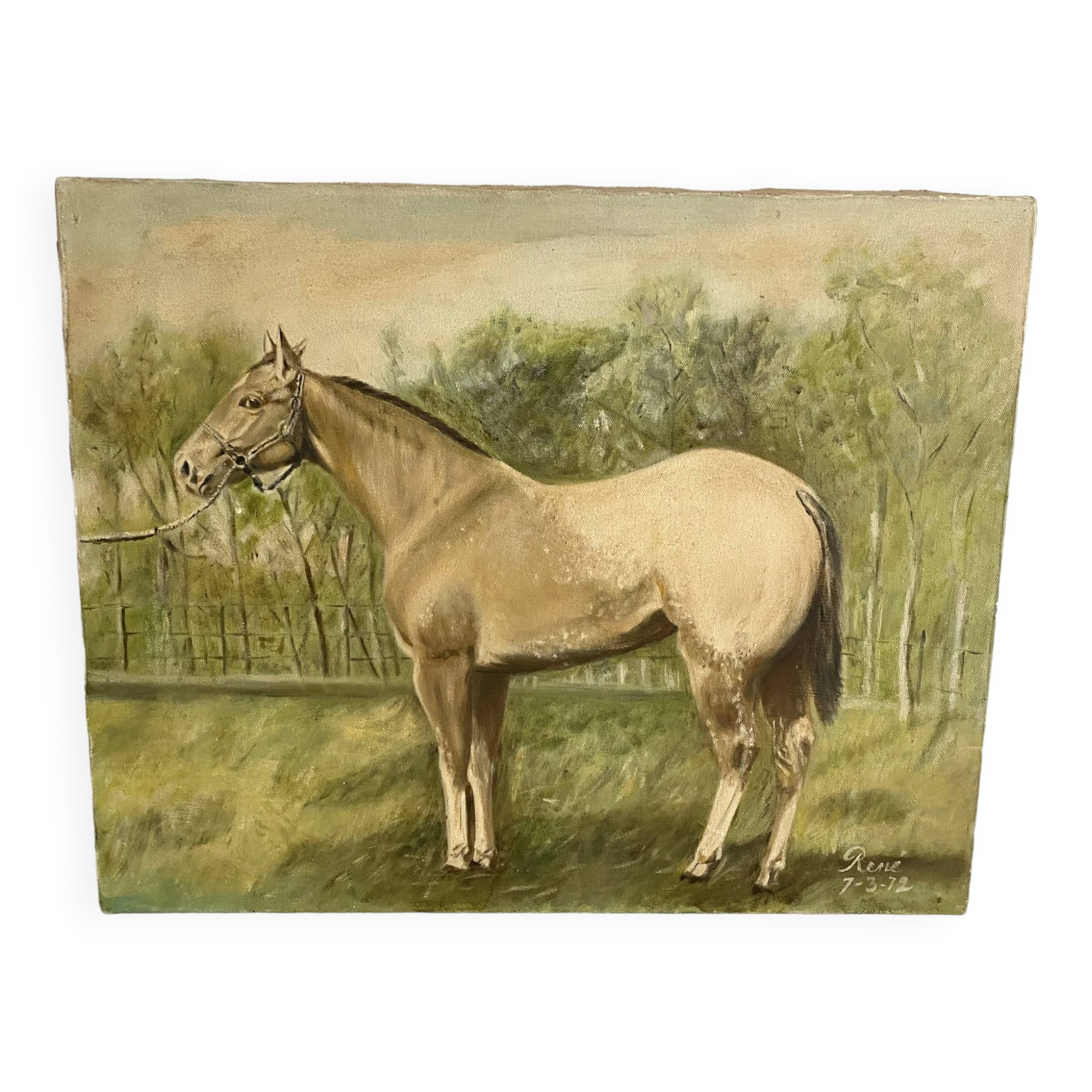 Oil painting on canvas horse