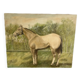Oil painting on canvas horse