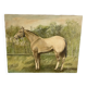 Oil painting on canvas horse