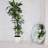 Large optical mirror.