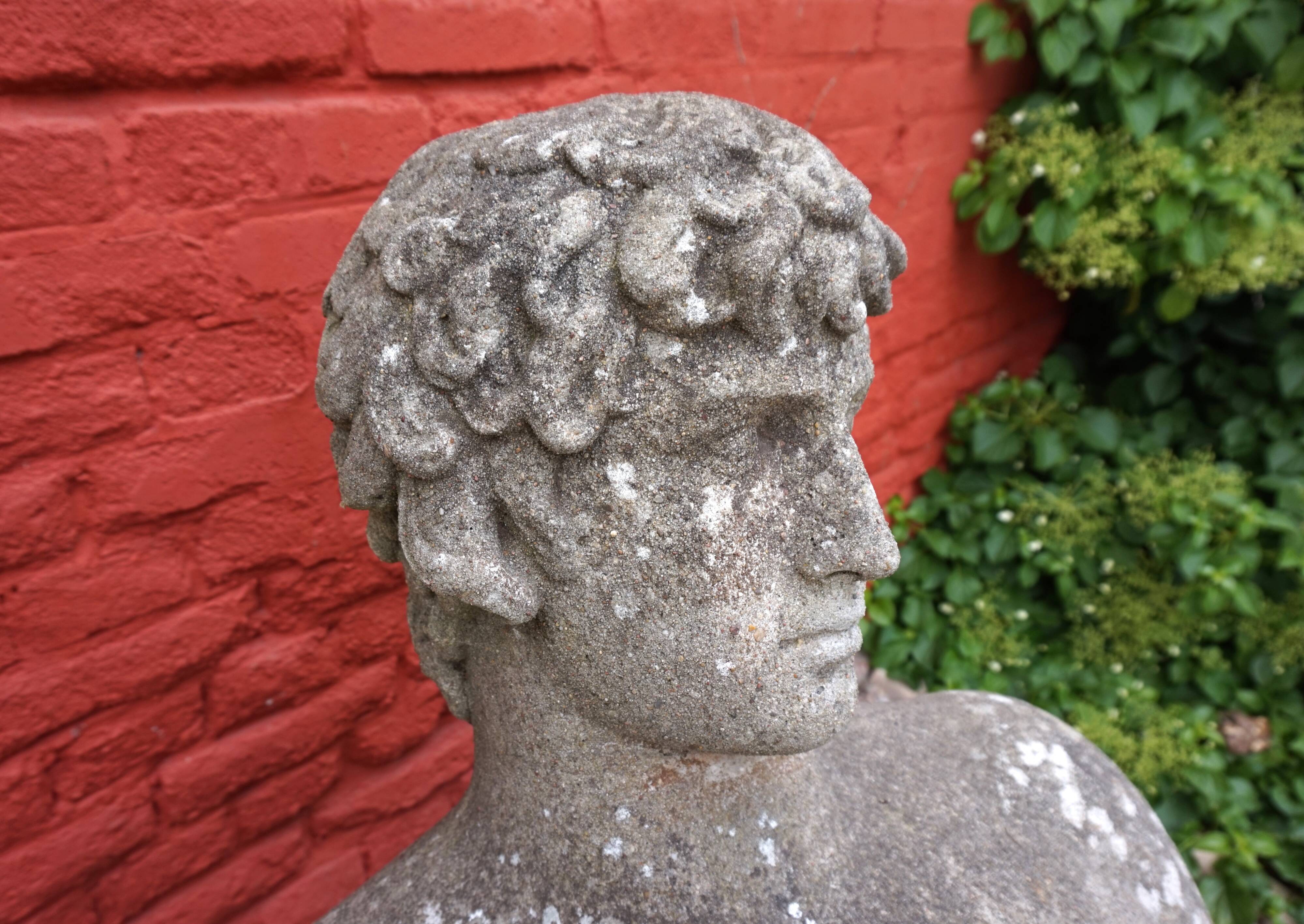 Weathered garden sculpture David concrete bust