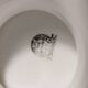 Porcelain fruit bowl with lions from Faïence Paris