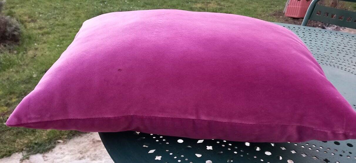 fuschia cushion