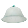 Cloche ancienne de jardin en verre