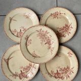 Set of 5 ironstone plates “pink birds”
