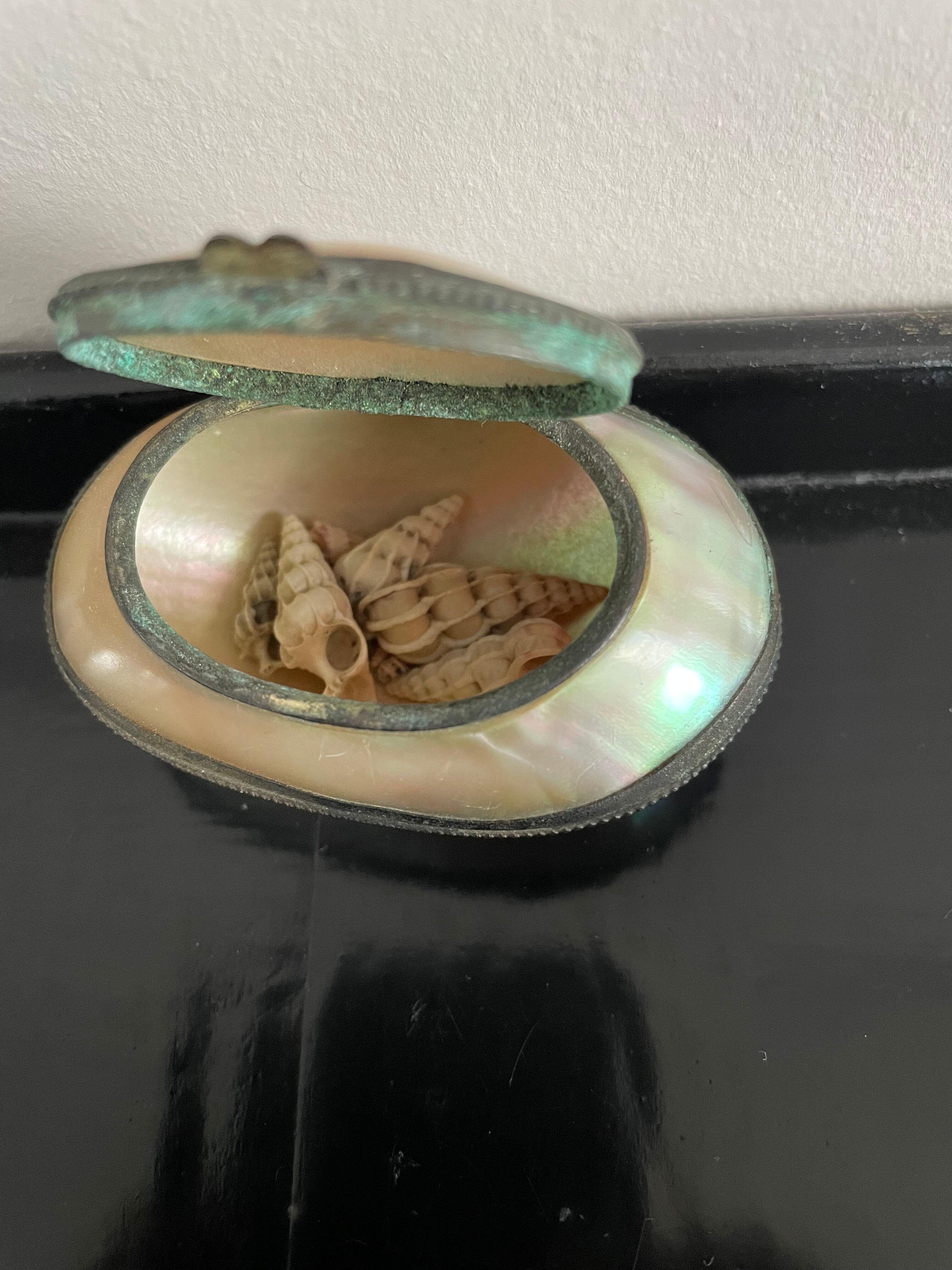 Mother-of-pearl box in the shape of a shell