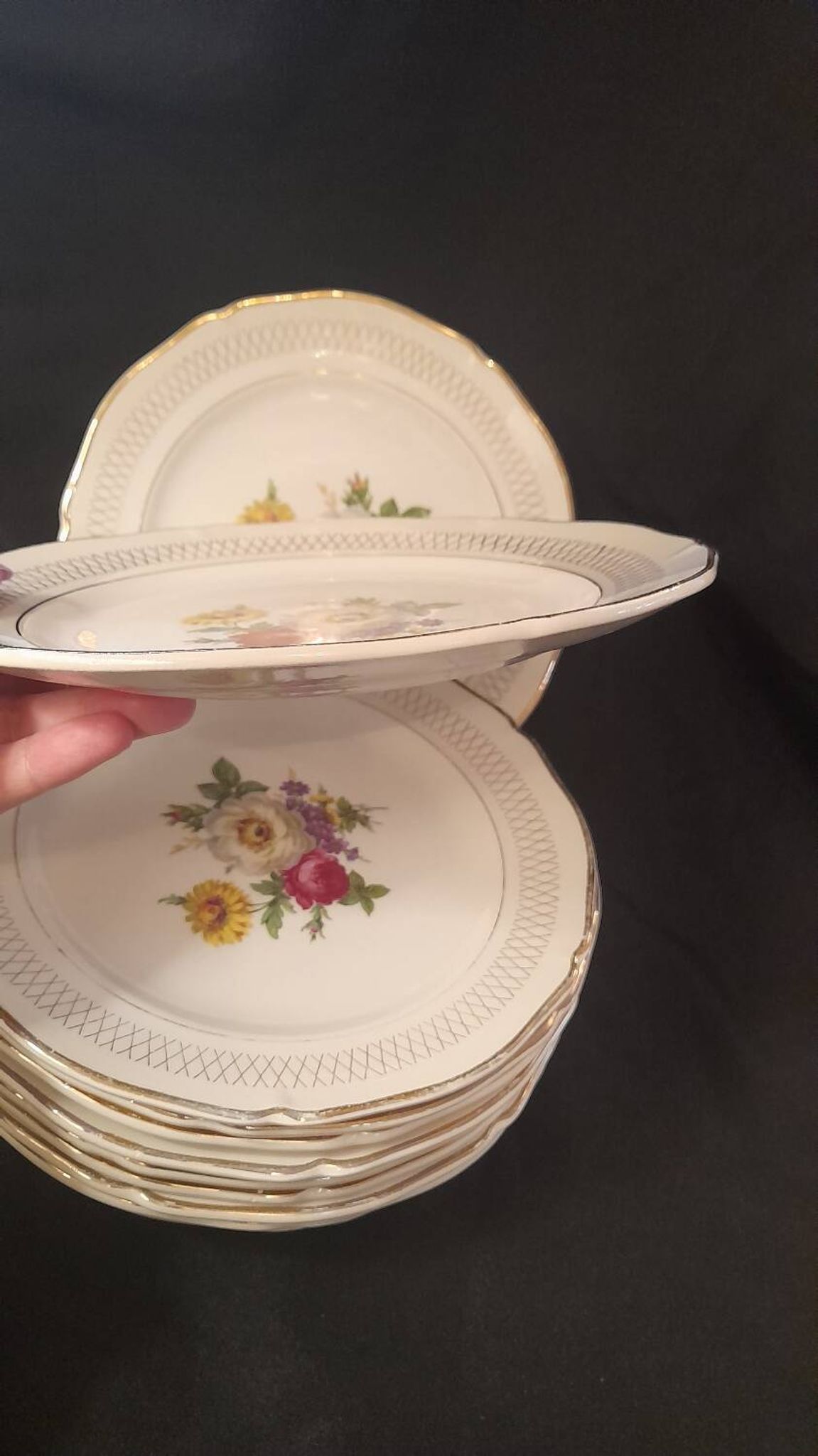 Set of 11 Ceranor St Amand Semi Vitrified Sapho plates