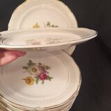 Set of 11 Ceranor St Amand Semi Vitrified Sapho plates