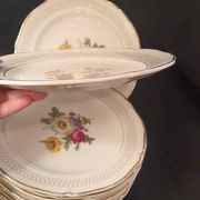 Set of 11 Ceranor St Amand Semi Vitrified Sapho plates