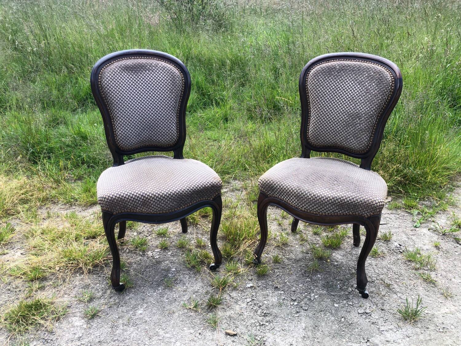 Pair of rosewood medallion chairs