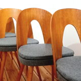 Set of five chairs, design. A. Suman, Tatra Nabytok, Czechoslovakia, 60s