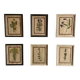 Set of 6 botanical plates