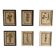 Set of 6 botanical plates