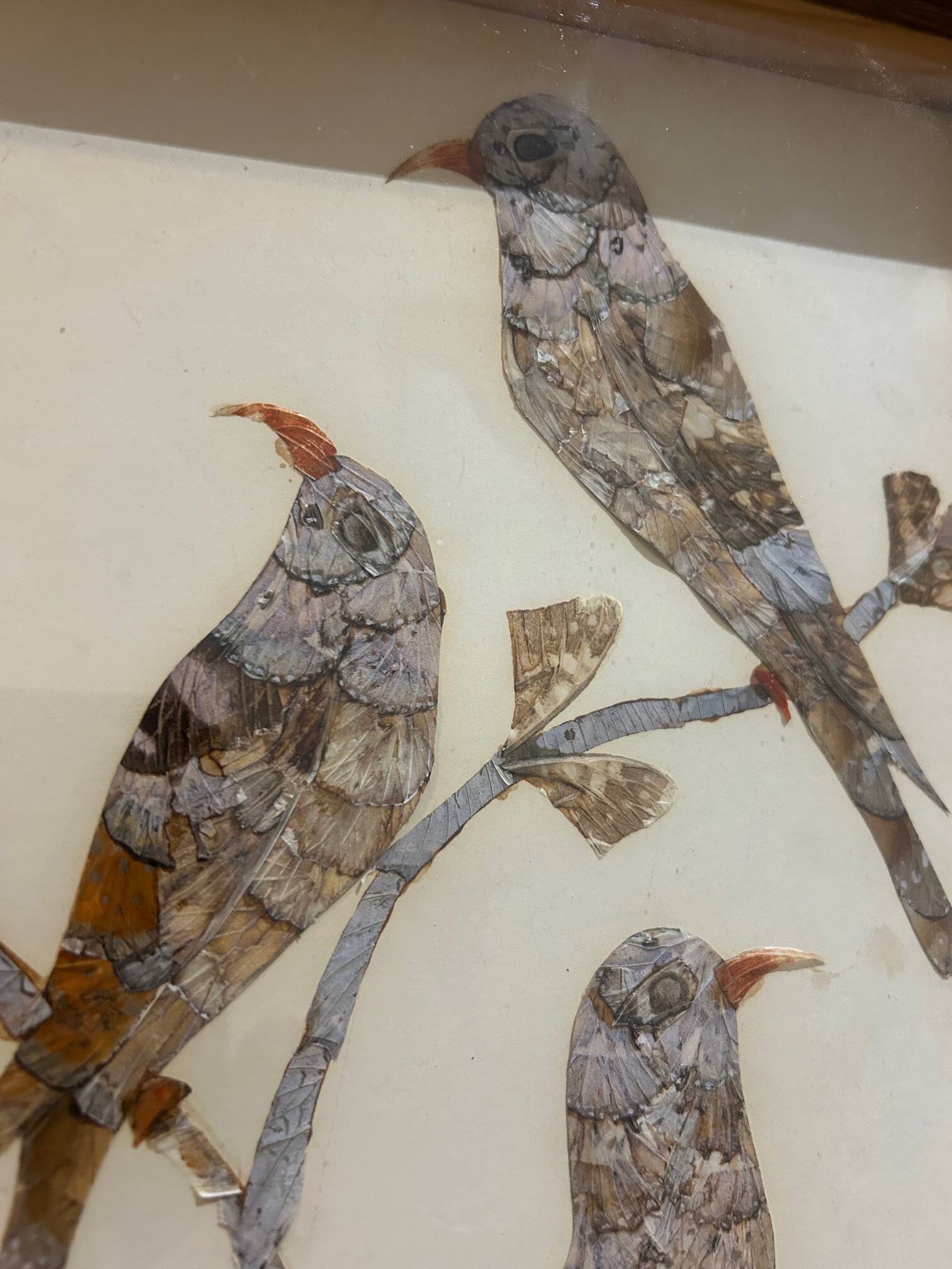 cadre sous verre aux oiseaux