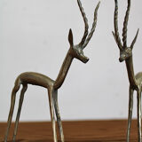 Brass gazelles