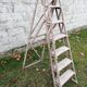 Old ladder