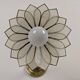 Paire appliques fleurs en nacre